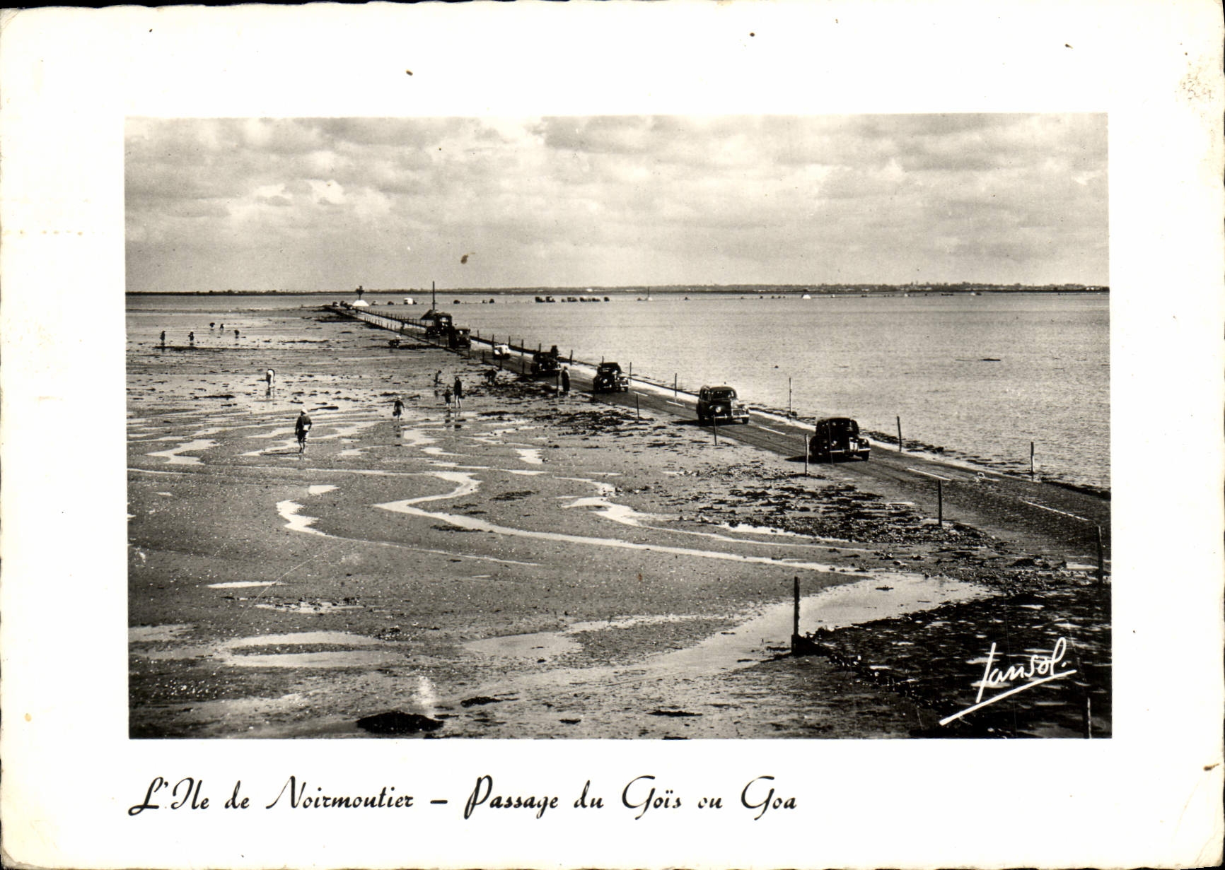 CPM Ile de Noirmoutier Passage du Gois ou Goa