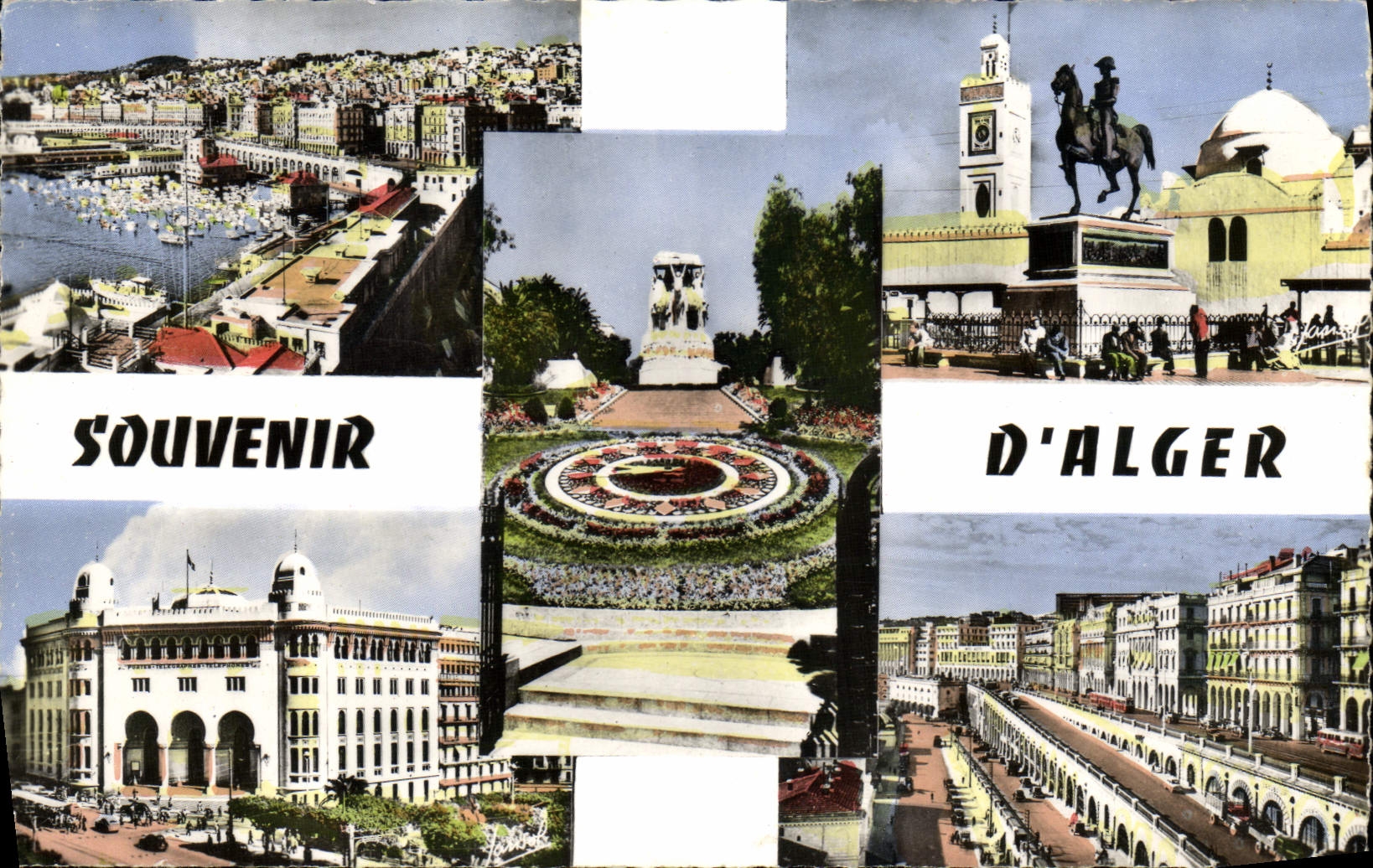 CPM Souvenir D'Alger