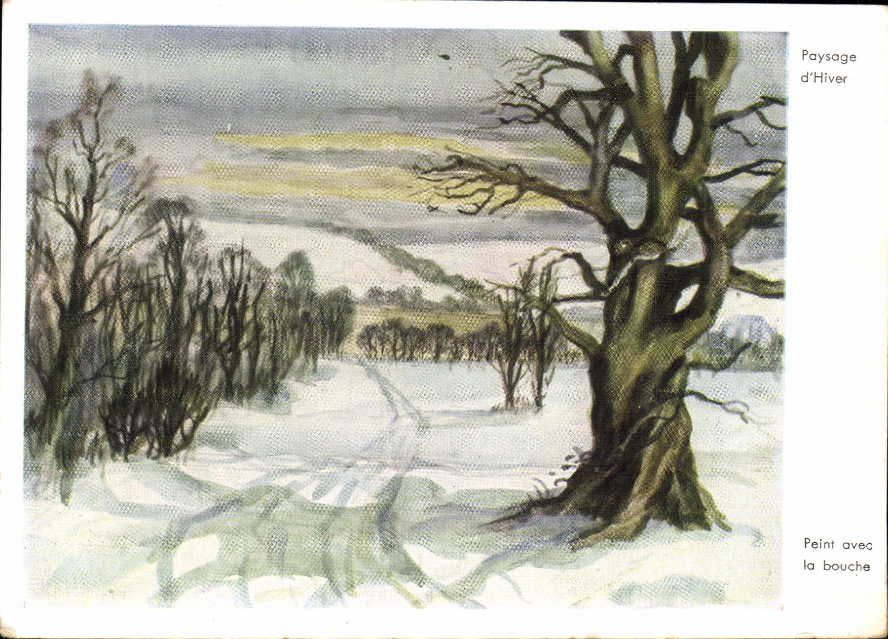 MODERN CARD Landscape Of Jackson Winter