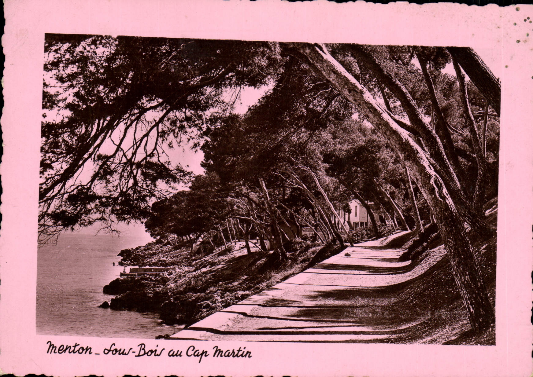 CPM Menton Sous Bois au Cap Martin