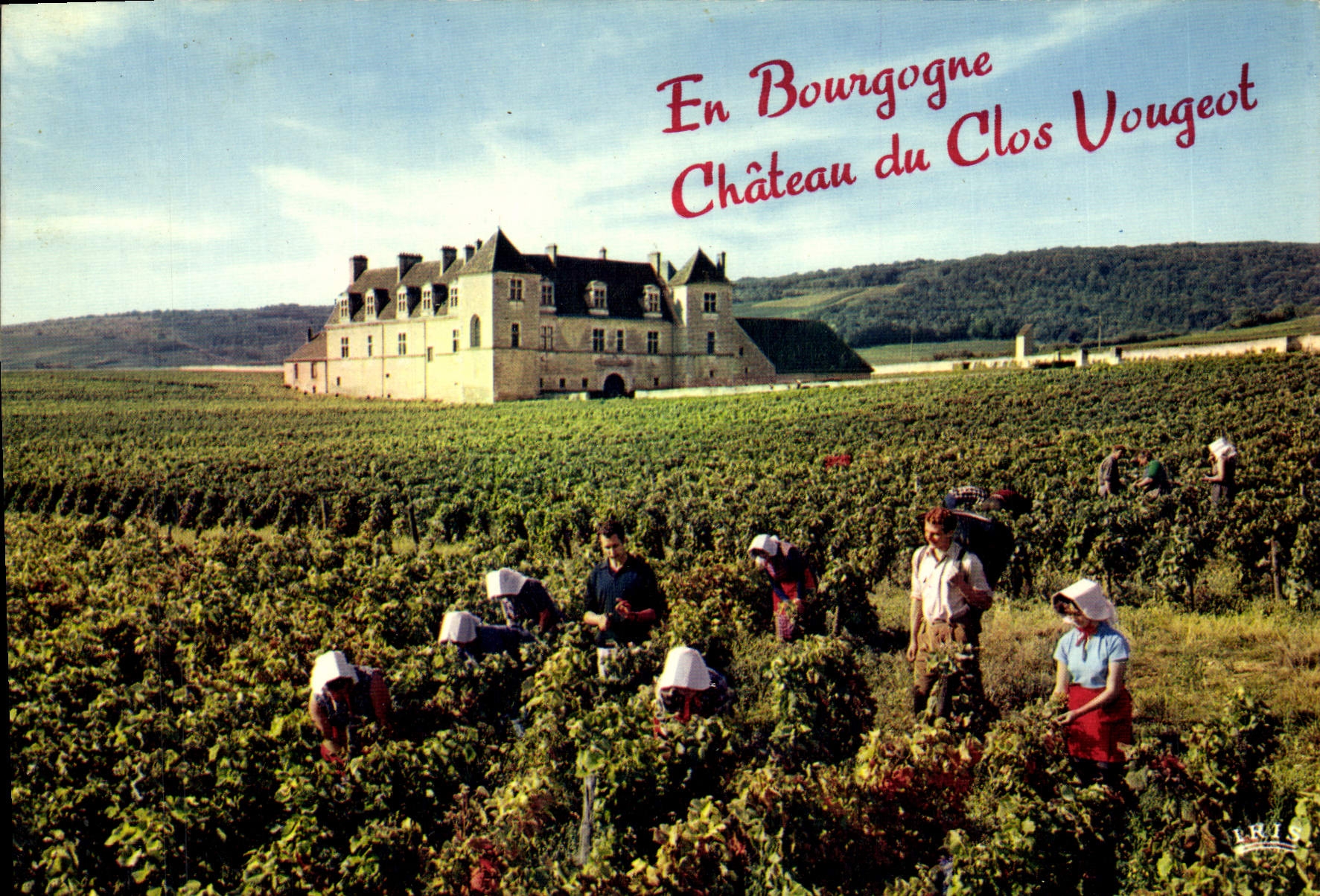 CPM En Bourgogne Chateau Du Clos Vougeot