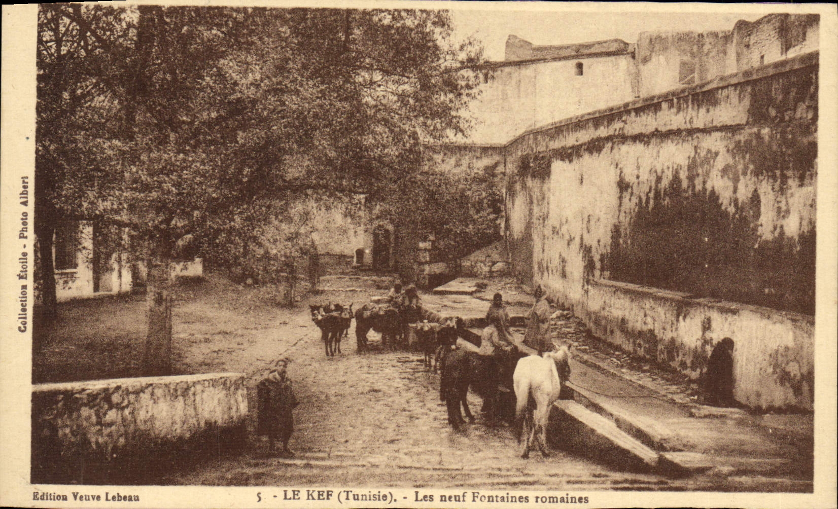 CPA Le Kef Les Neuf Fontains Romaines Tunisie