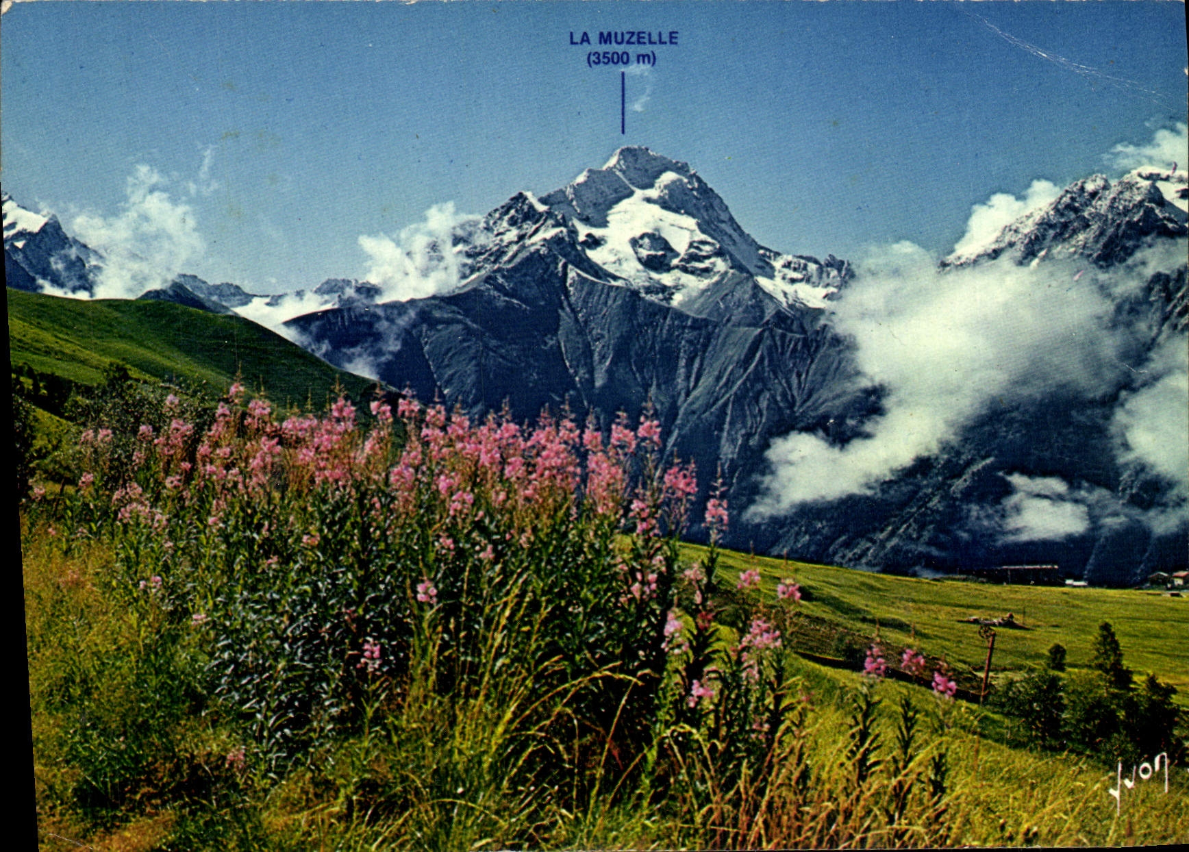 CPM Couleurs Et Lumiere De France Les Alpes Les Deux Alpes Les Epilobes et la Muzelle