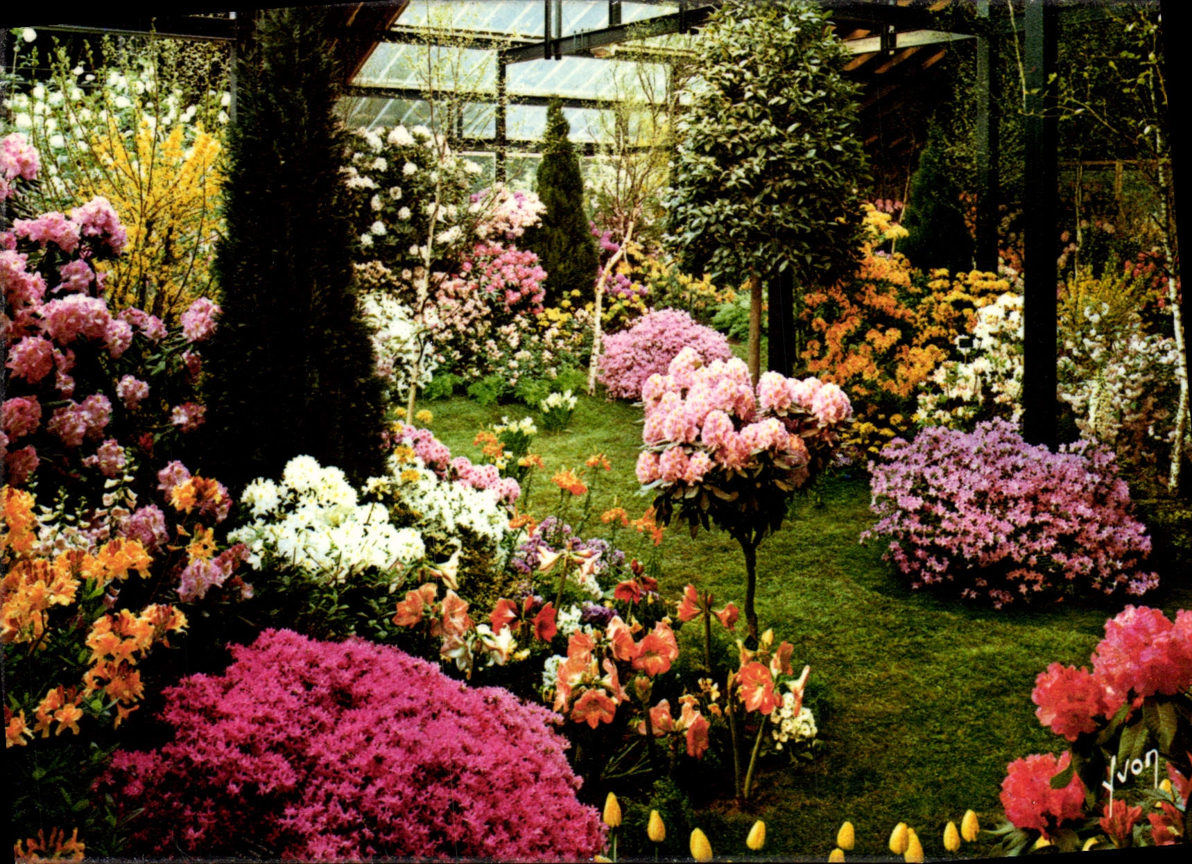 CPM Floralies Paris 1969
