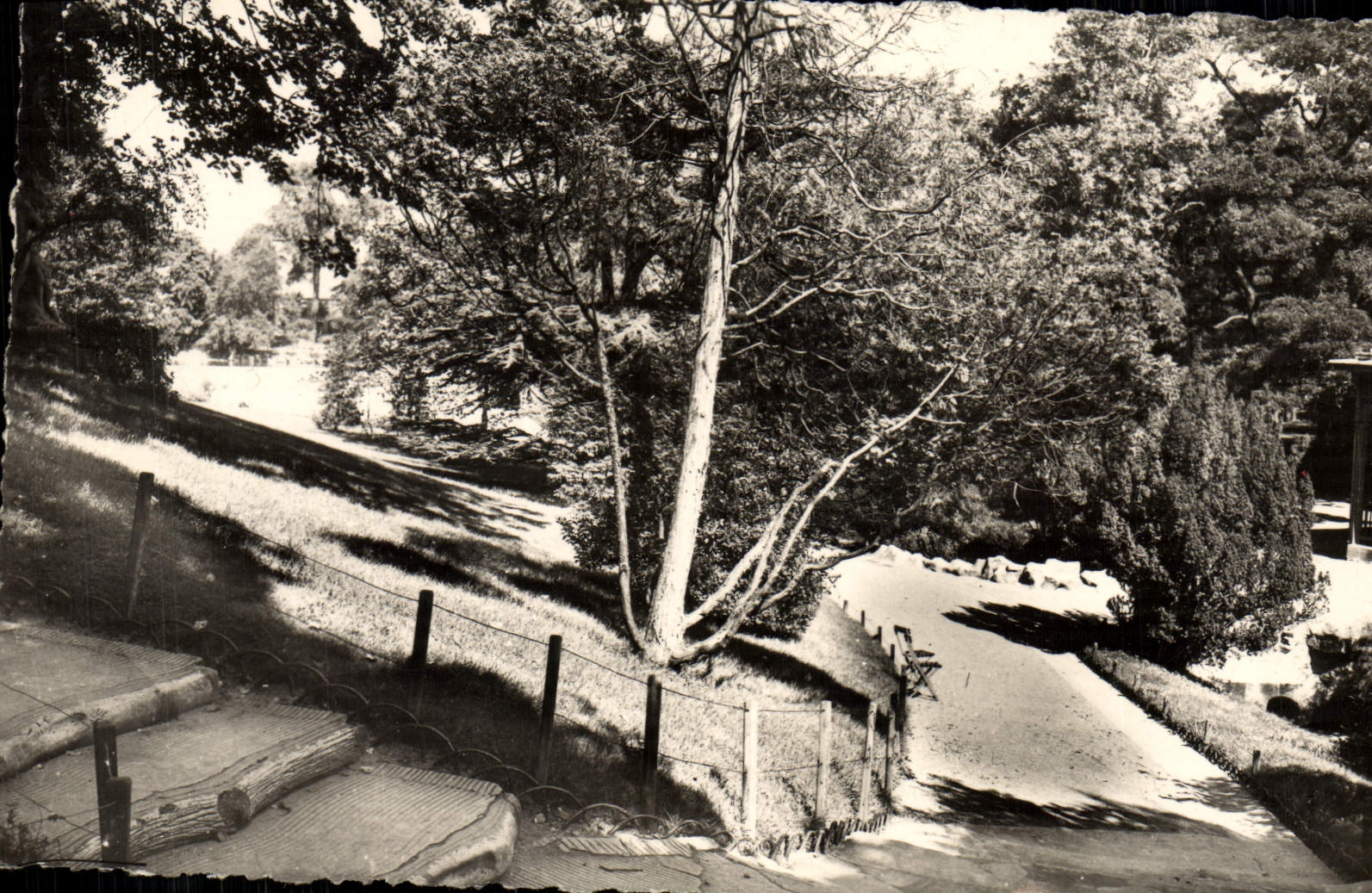 CPM Paris Le Parc Montsouris