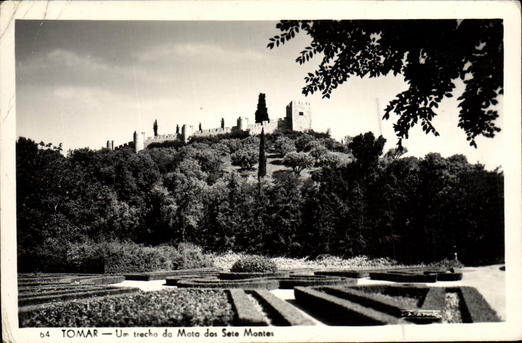 MODERN CARD Tomar Trecho Da Mata Of Sete Montes