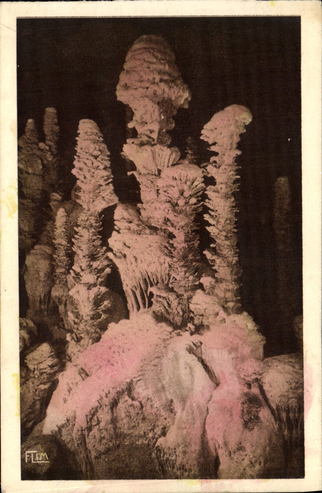 MODERN CARD the Swallow-hole Armand In the Virgin forest