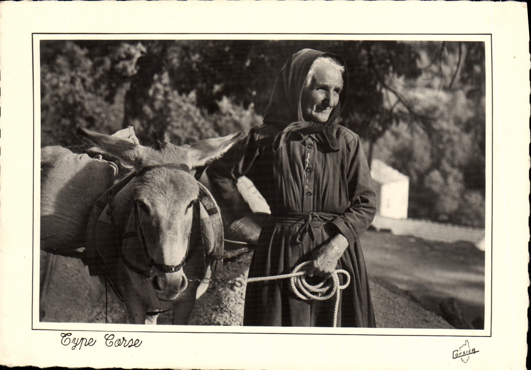 MODERN CARD Standard Corsica Corsica Corsica Ass Mule Folklore