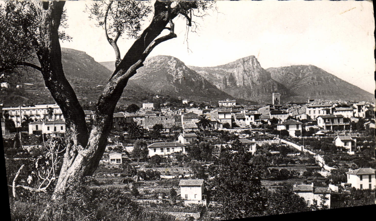 CPM Vence Vue Generale Et Les Quatre Baous