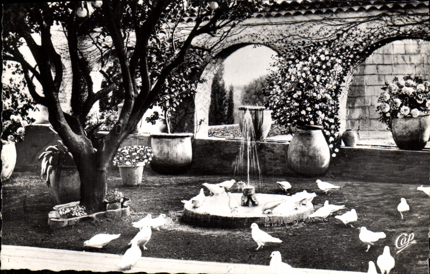 MODERN CARD Saint Paul De Vence the Gold Dove