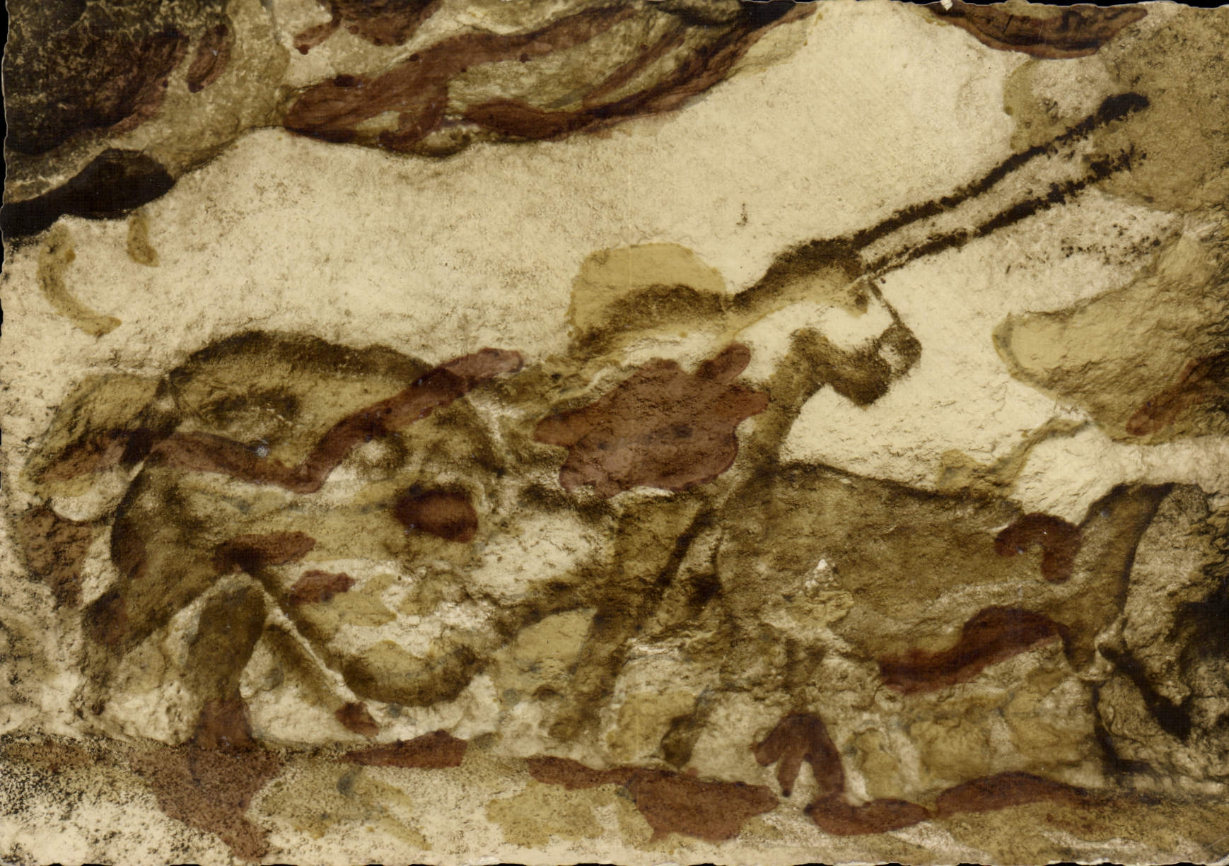 CPM Grotte Prehistorique de Lascaux Montignac sur Vezere