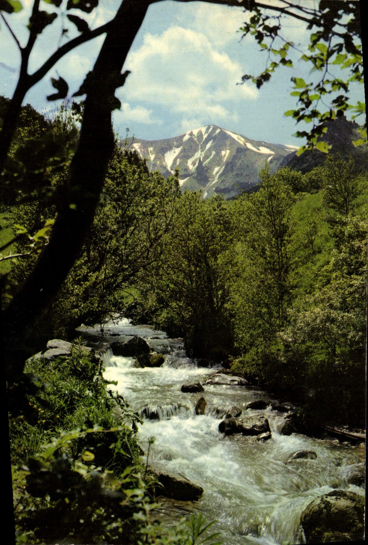 CPM L'Auvergne Touristique Valle De Chaudefour La Couze De Chambon Et Le Puy Ferrand