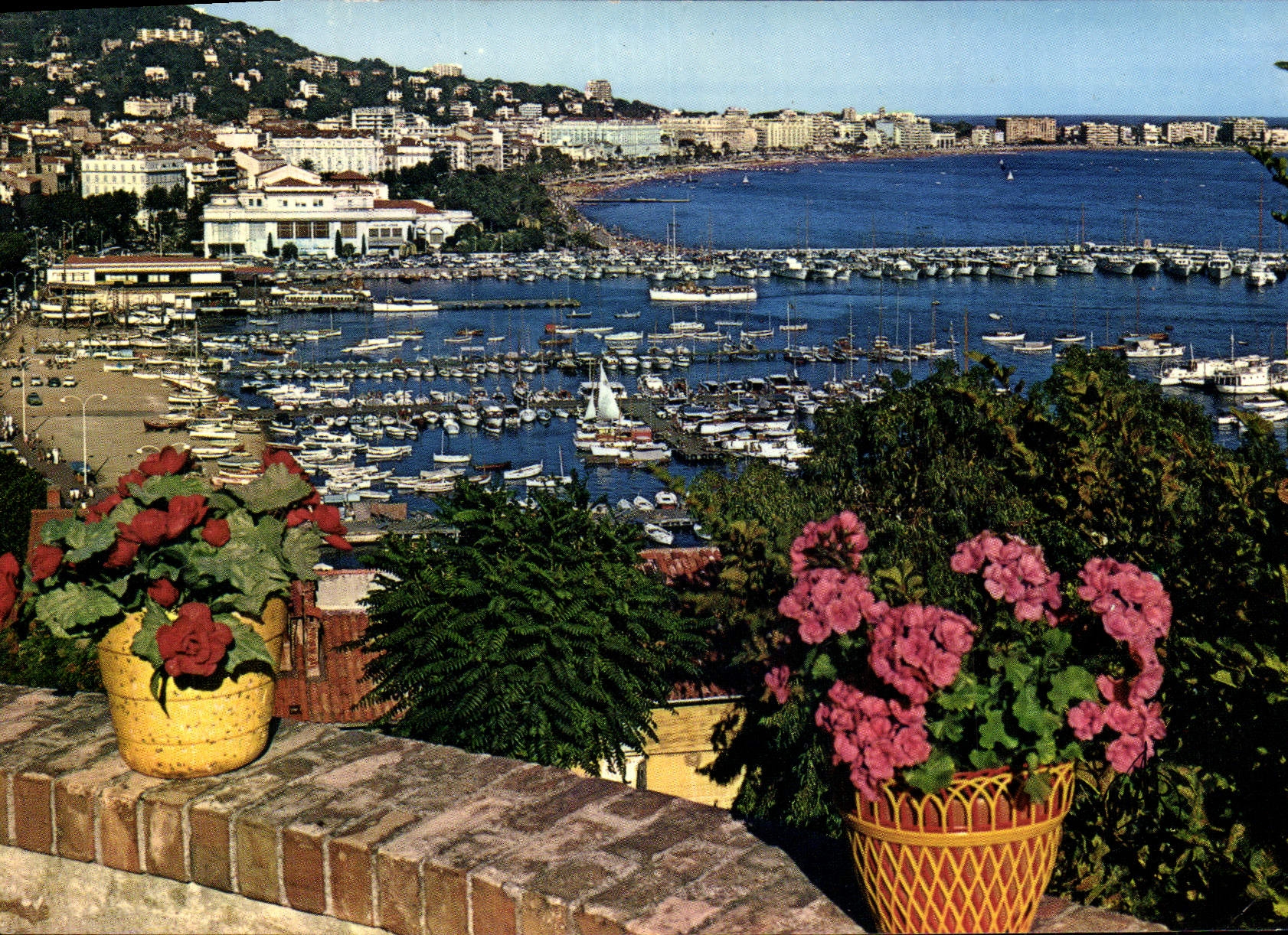 CPM La Cote d'Azur Cannes Le Port Et La Croisette