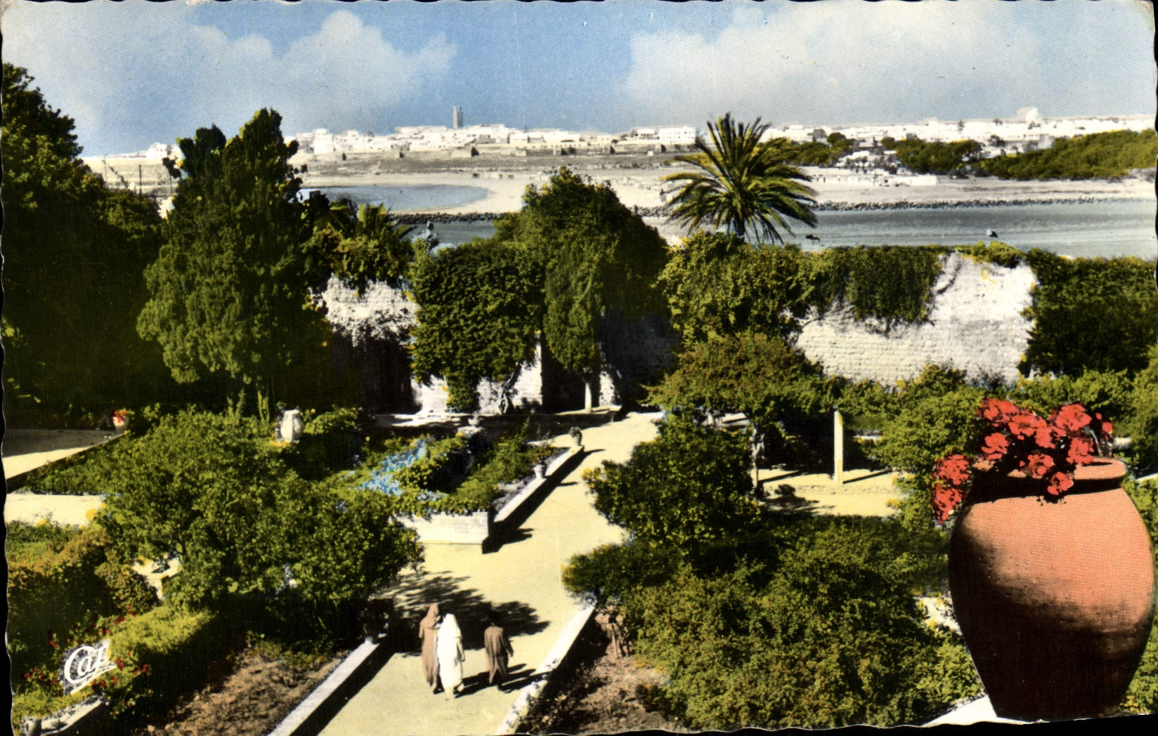 MODERN CARD Rabat Salts Seen Andalusian Garden Of Oudaias