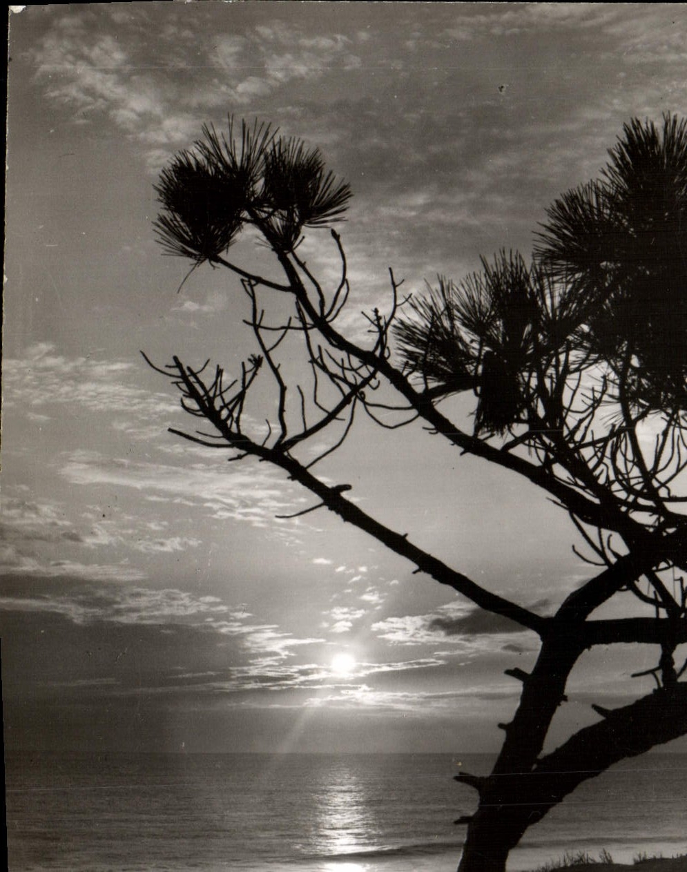 MODERN CARD To lay down Sun On I' Atlantique