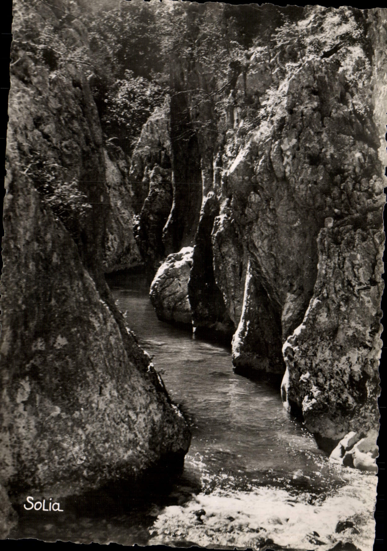 CPM Gorges Du Verdon