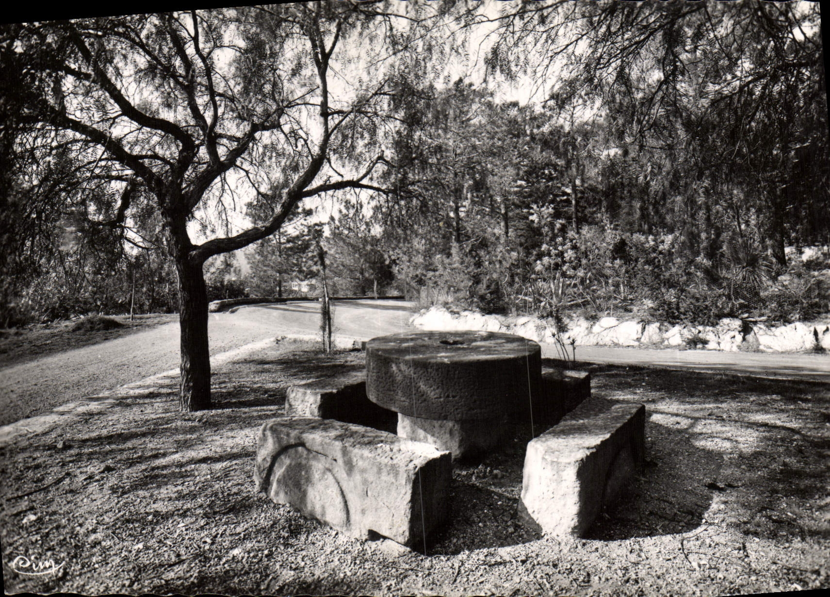 MODERN CARD Bormes the Mimosas Old woman Counts Of Pierre