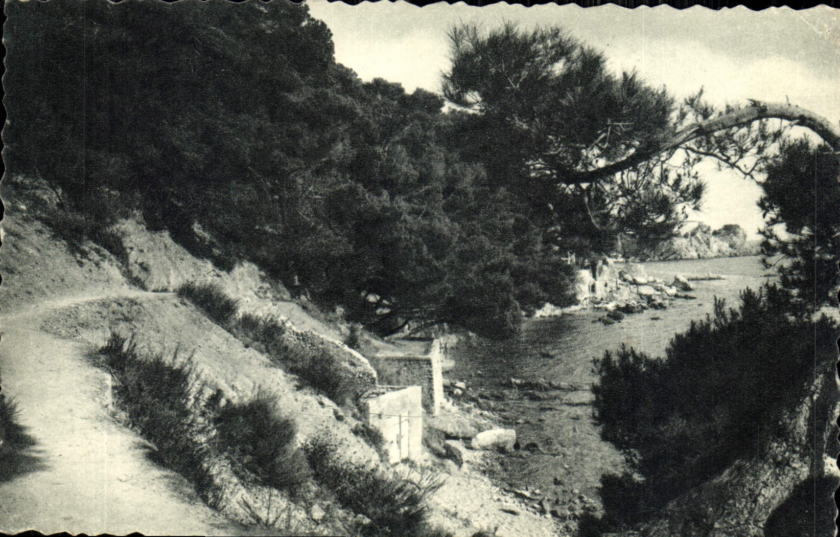 MODERN CARD Toulon Path Coastguards the Pines Lean