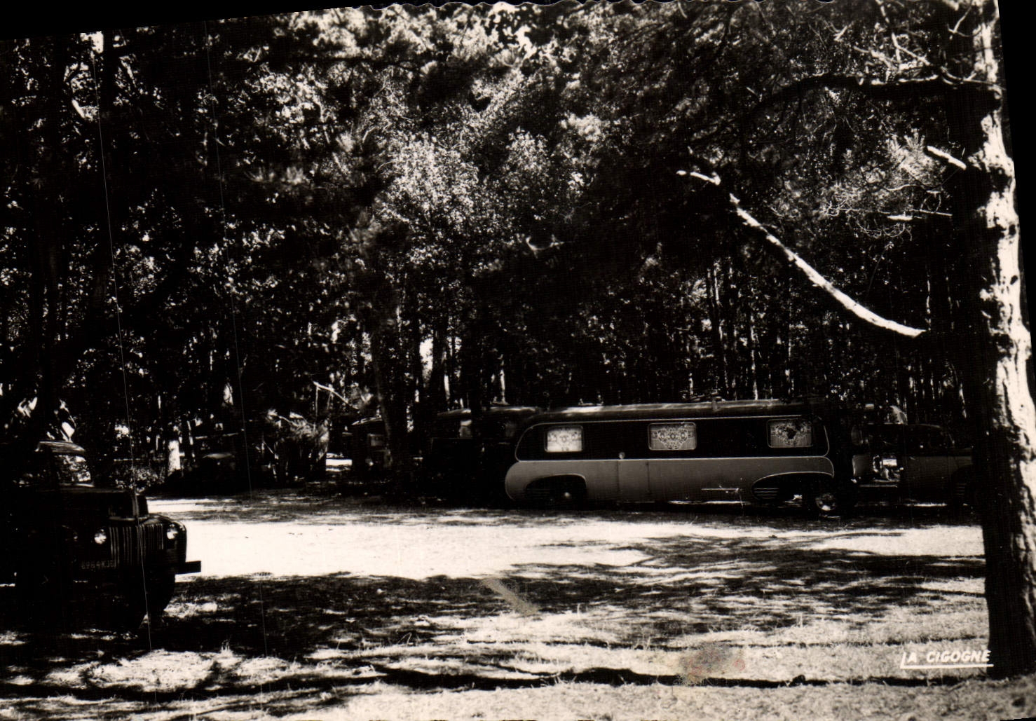 MODERN CARD Julouville Under Wood