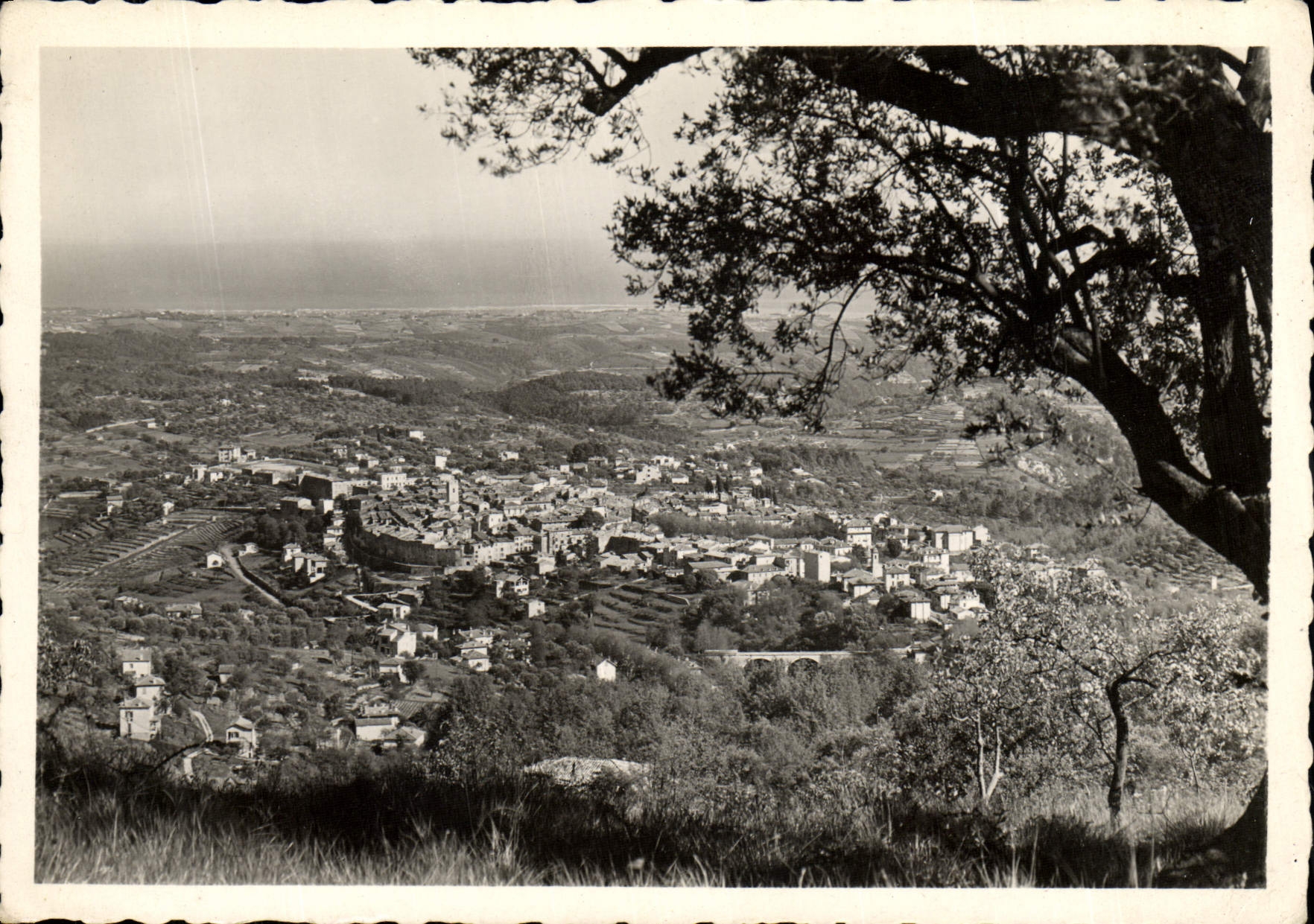 CPM Vence Vue Panoramique Vers Saint Laurent Du Var