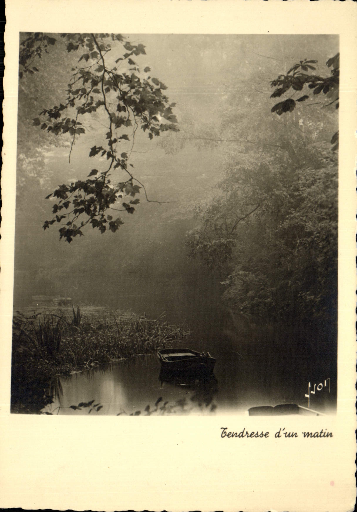 CPM Tendresse D'Un Matin