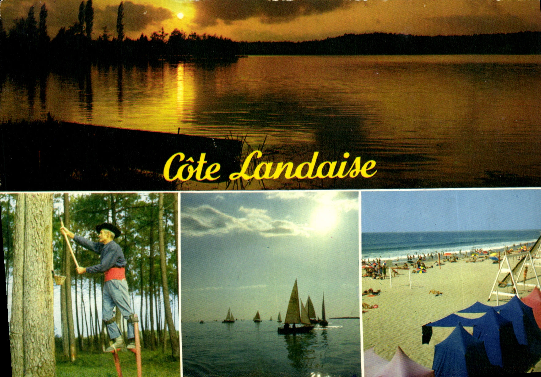 CPM Cote Landaise Divers Aspects