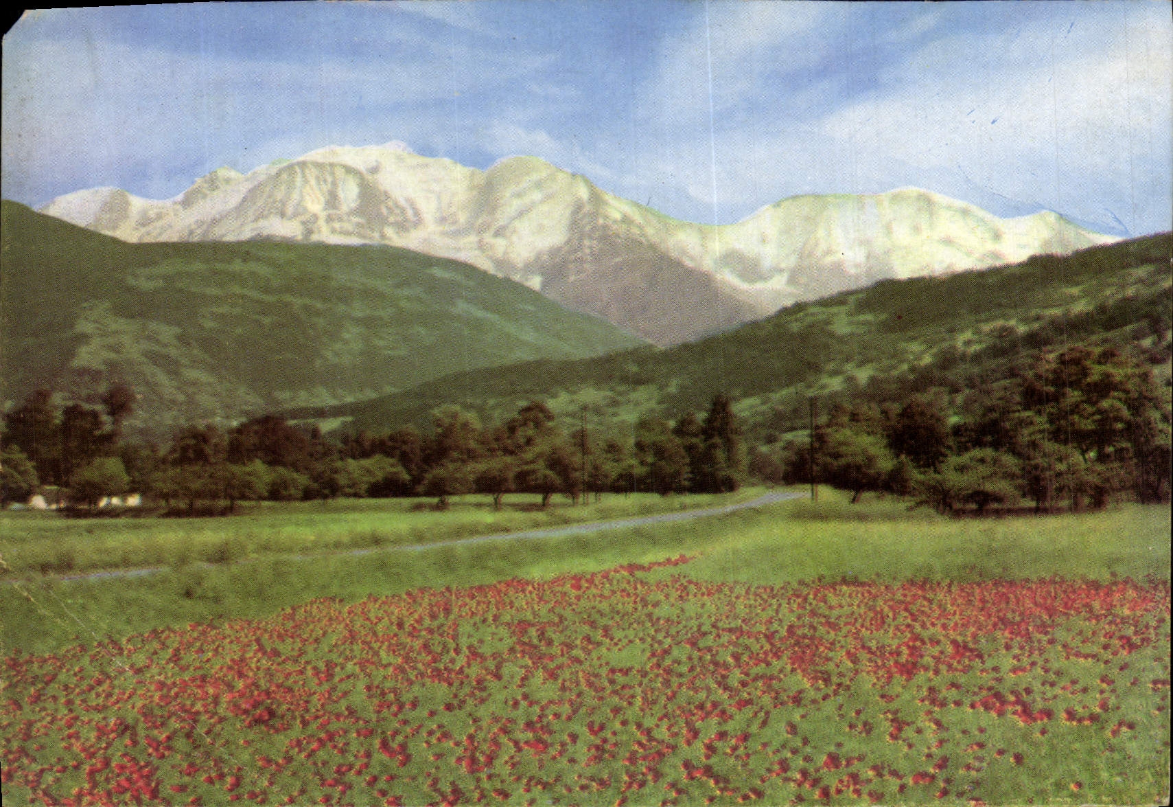 POSTAL MODERNA Mont Blanc