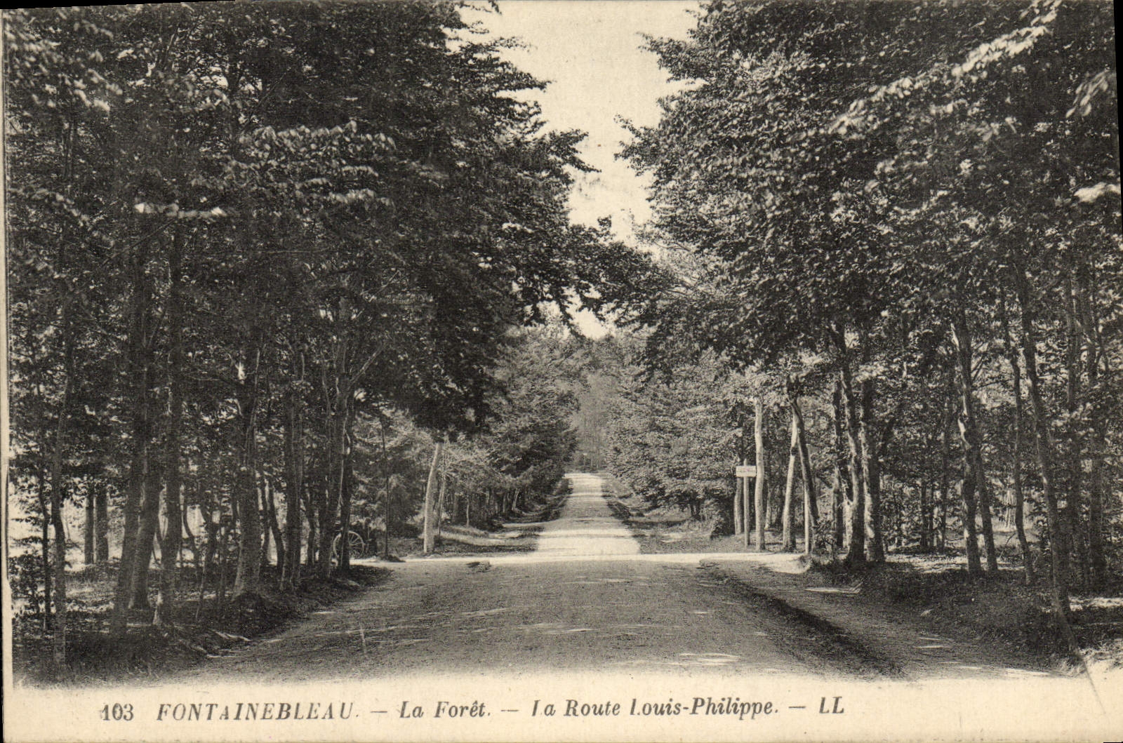 CPA Fontainebleau Le Foret La Route Louis Philippe