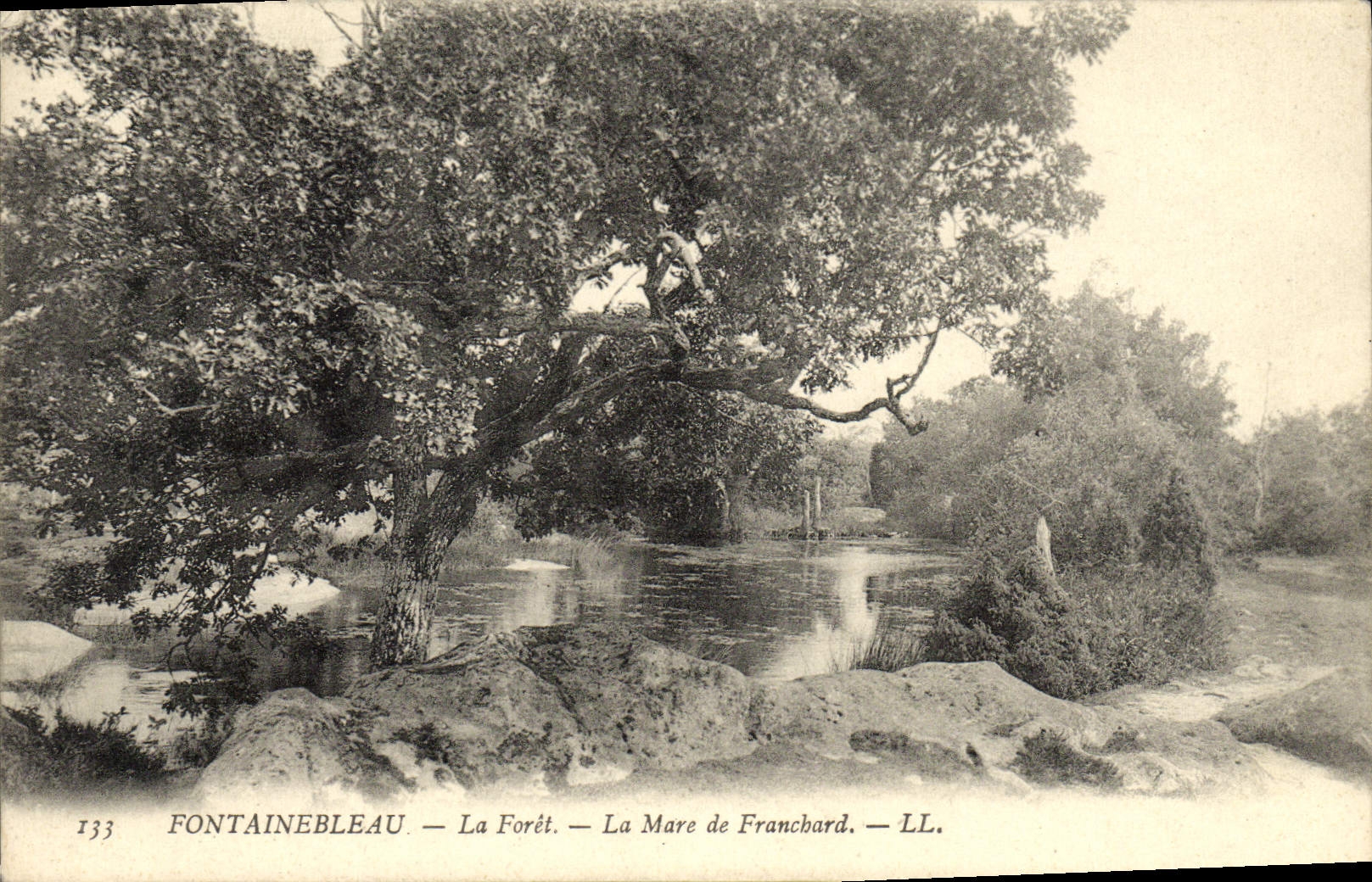 CPA Fontainebleau La Foret La Mare De Franchard