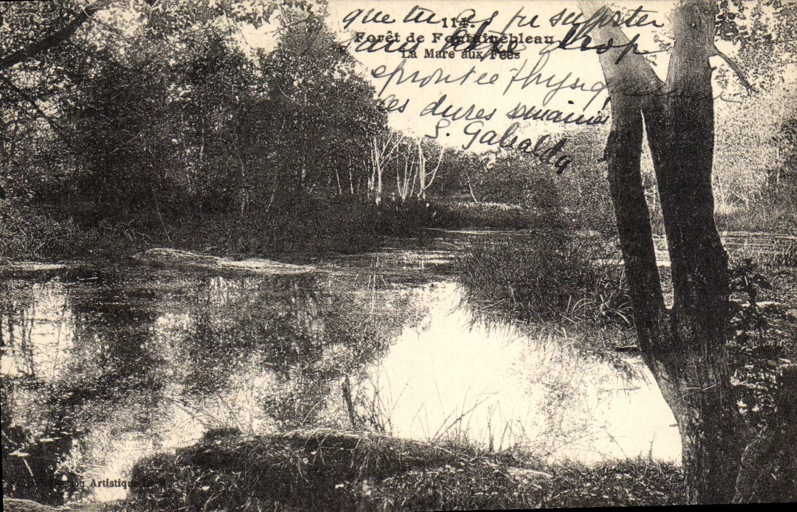 CPA Foret De Fontainebleau La Mare Aux Fees