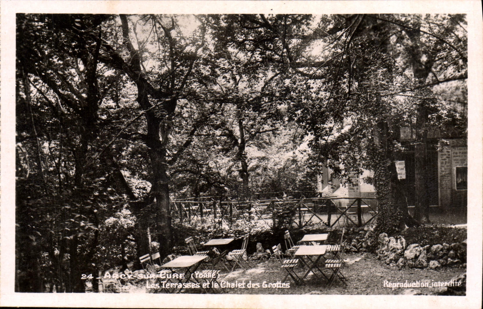 CPA Arcy Sur Seine Les Terrasses Et Le Chalet Des Grottes
