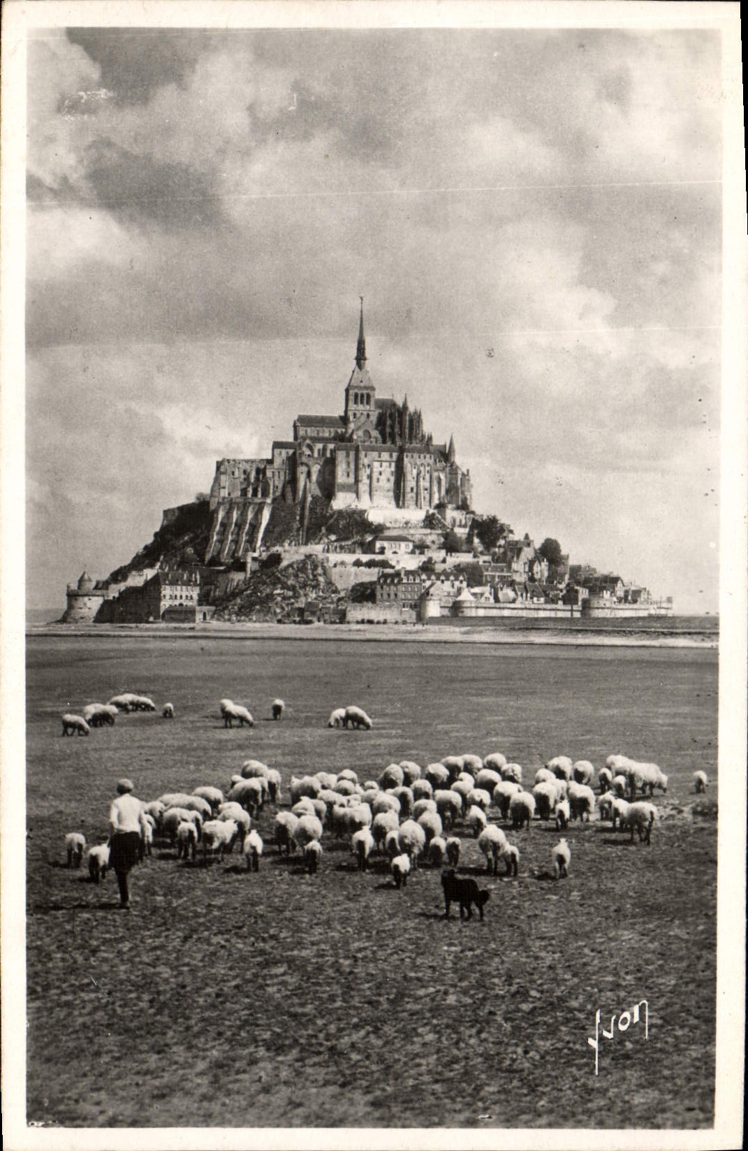 CPA Le Mont Saint Michel Berger et moutons
