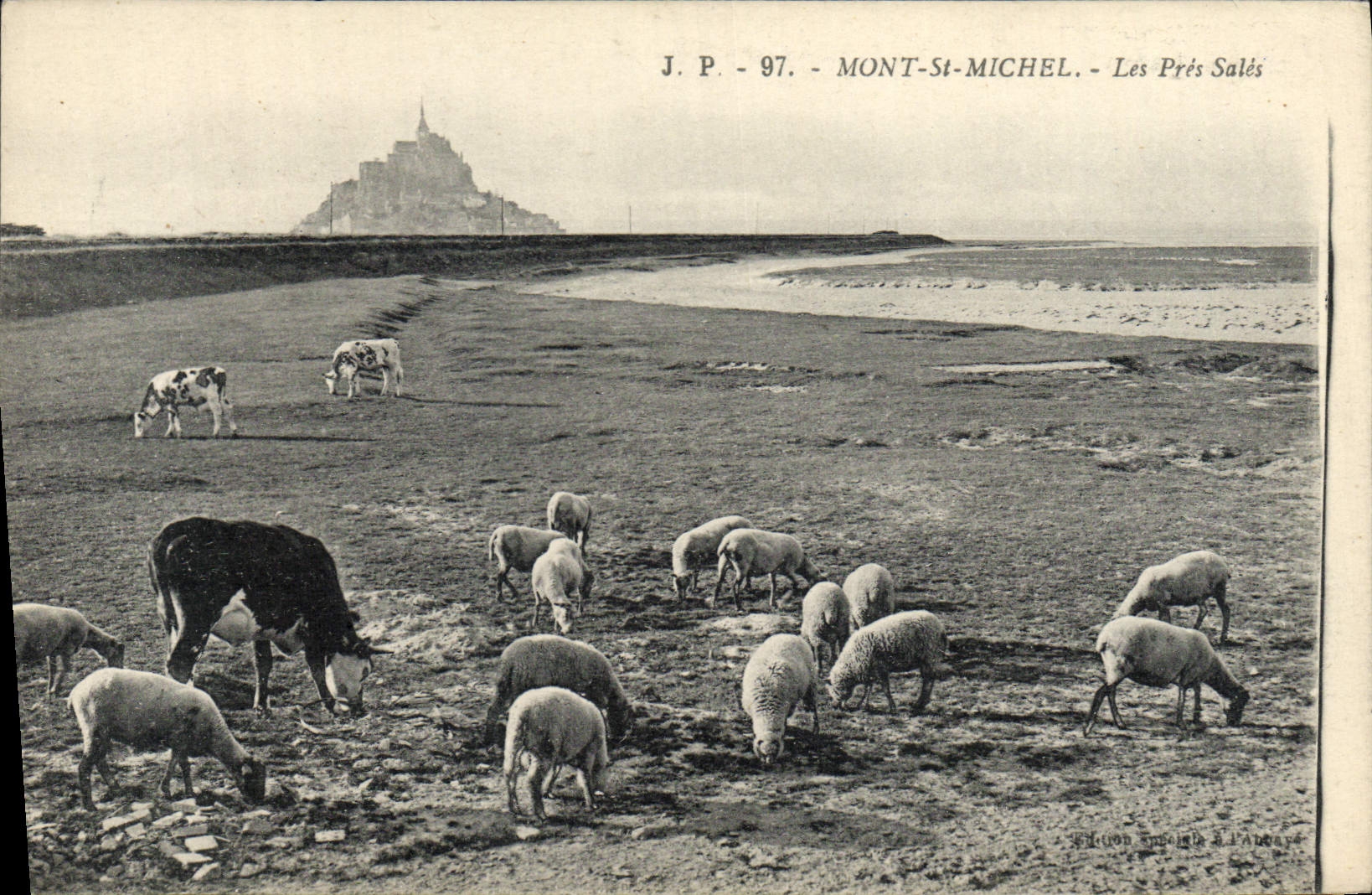CPA Mont St Michel Les Pres Sales Vache et moutons