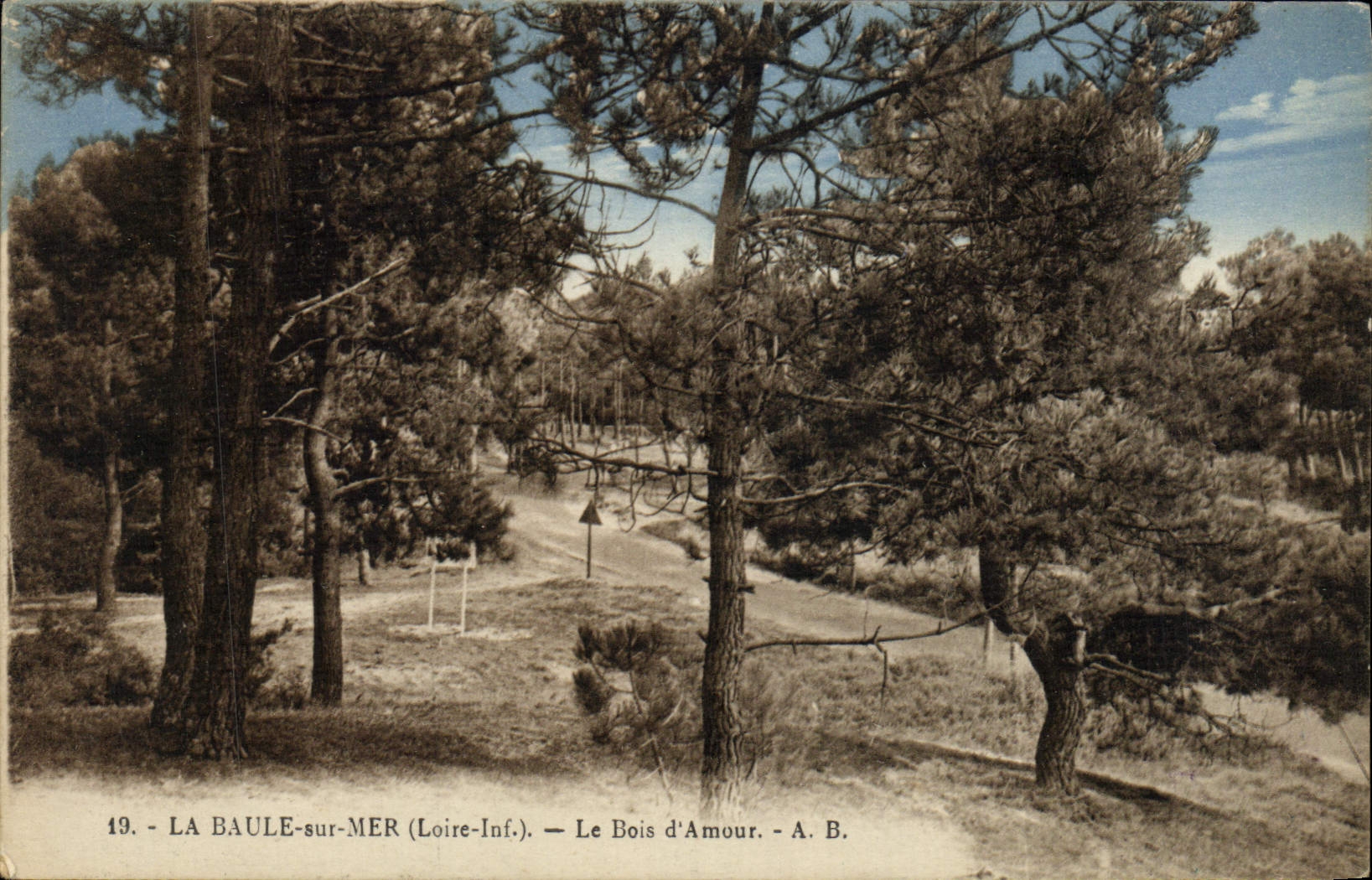 VINTAGE POSTCARD La Baule On Sea the Wood Of Love