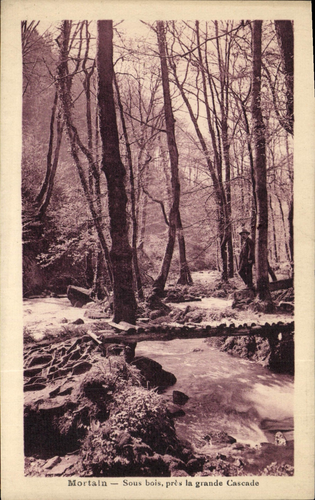 VINTAGE POSTCARD Mortain Under Wood Close the Large Cascade