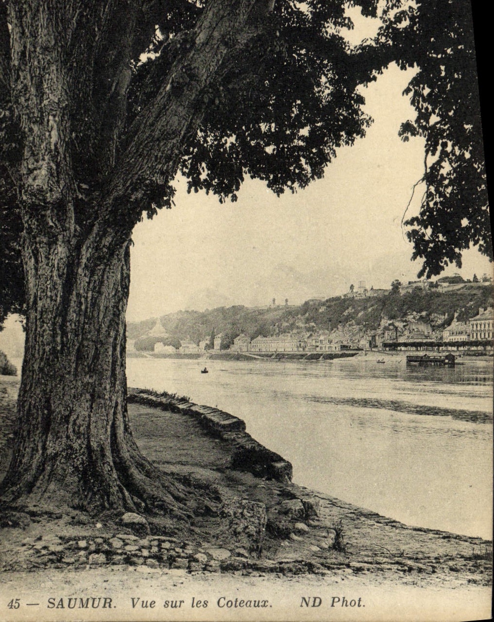 CPA Saumur Vue sur les Coteaux