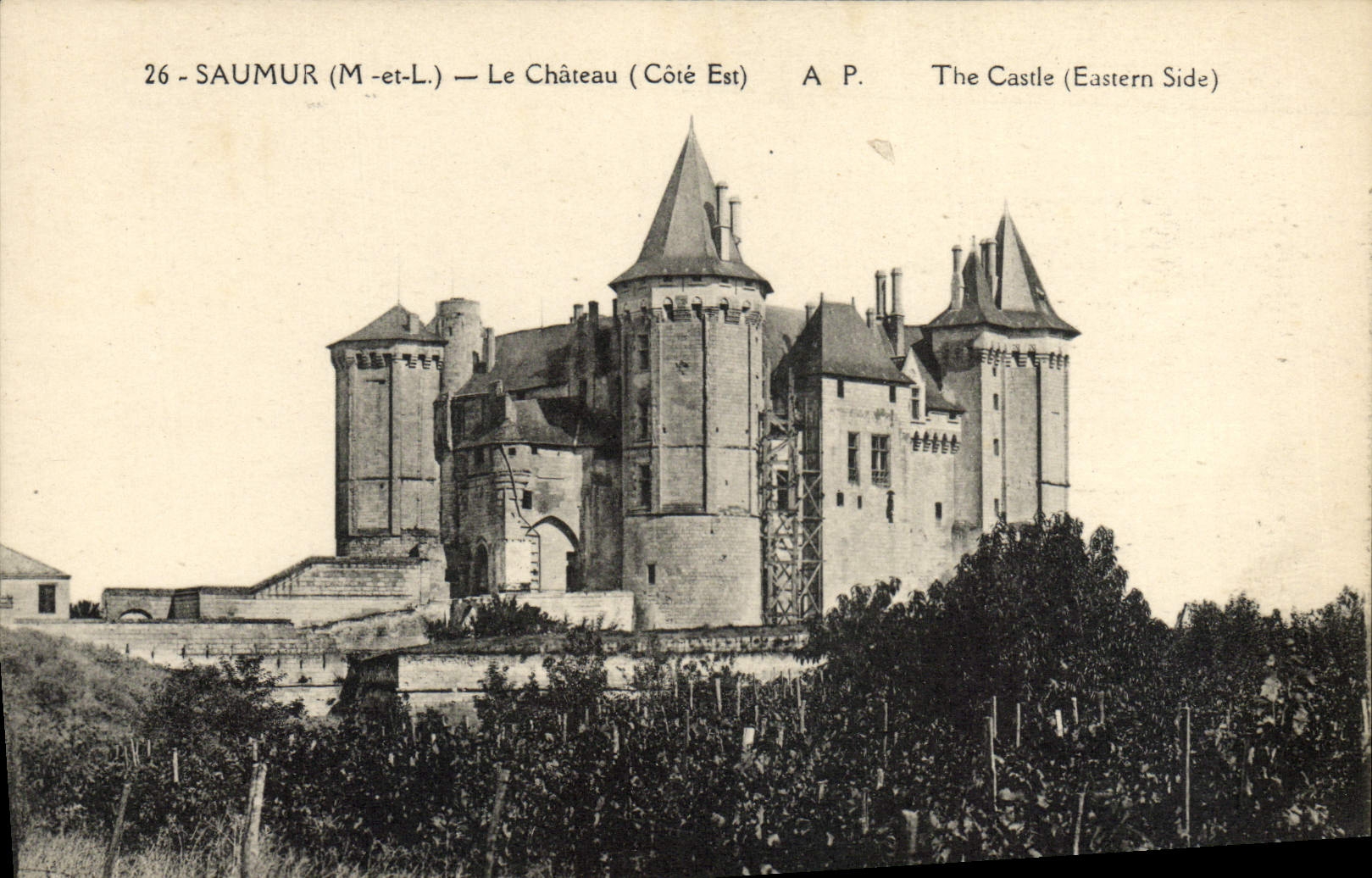 VINTAGE POSTCARD Saumur the Castle Vines