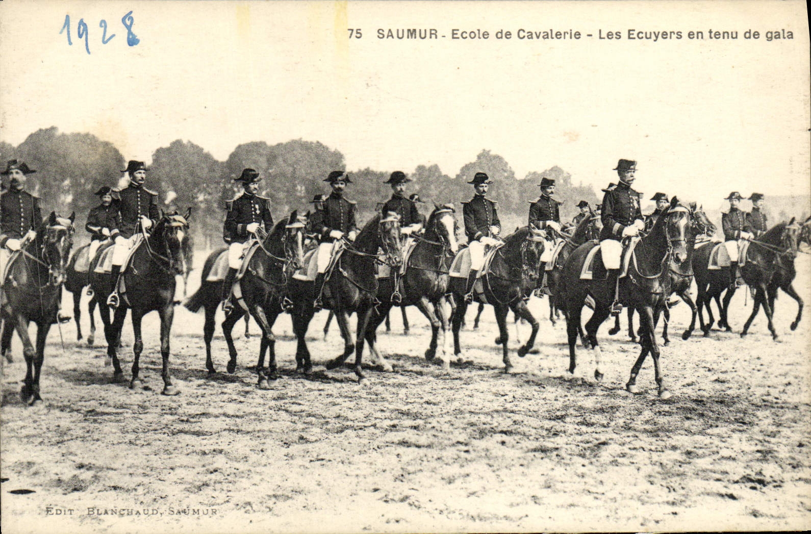 VINTAGE POSTCARD Surroundings School of Cavalry Riders of Held of Official reception Militaria Horses