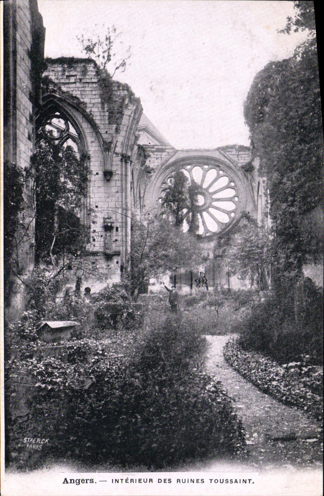 El interior de la POSTAL de la VENDIMIA encoleriza de las ruinas del Día de Todos los Santos