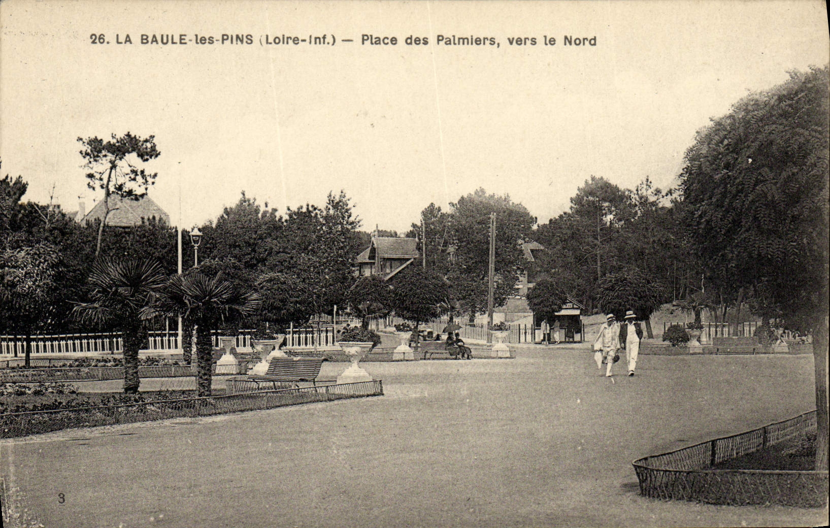 VINTAGE POSTCARD La Baule the Pines Places Palm trees towards North