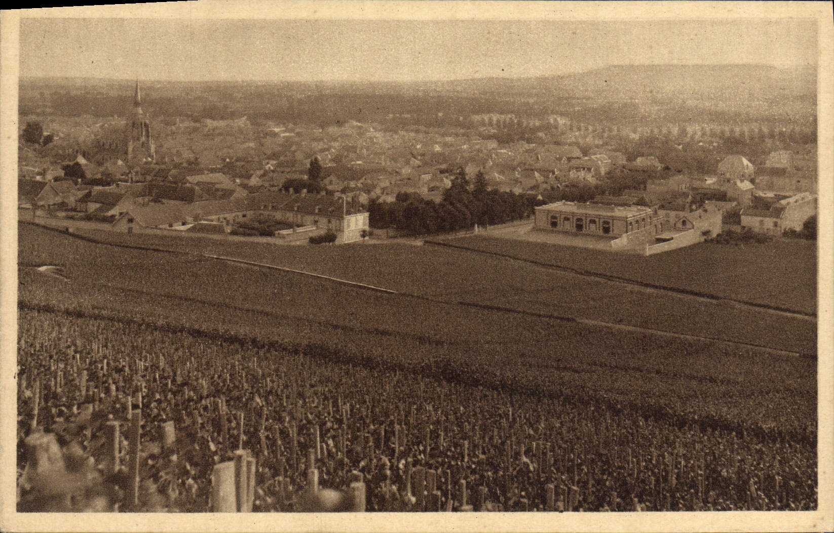 VINTAGE POSTCARD Rheims Collection Pommery Champagne & Greno Vineyard of Ay First black grape vintage