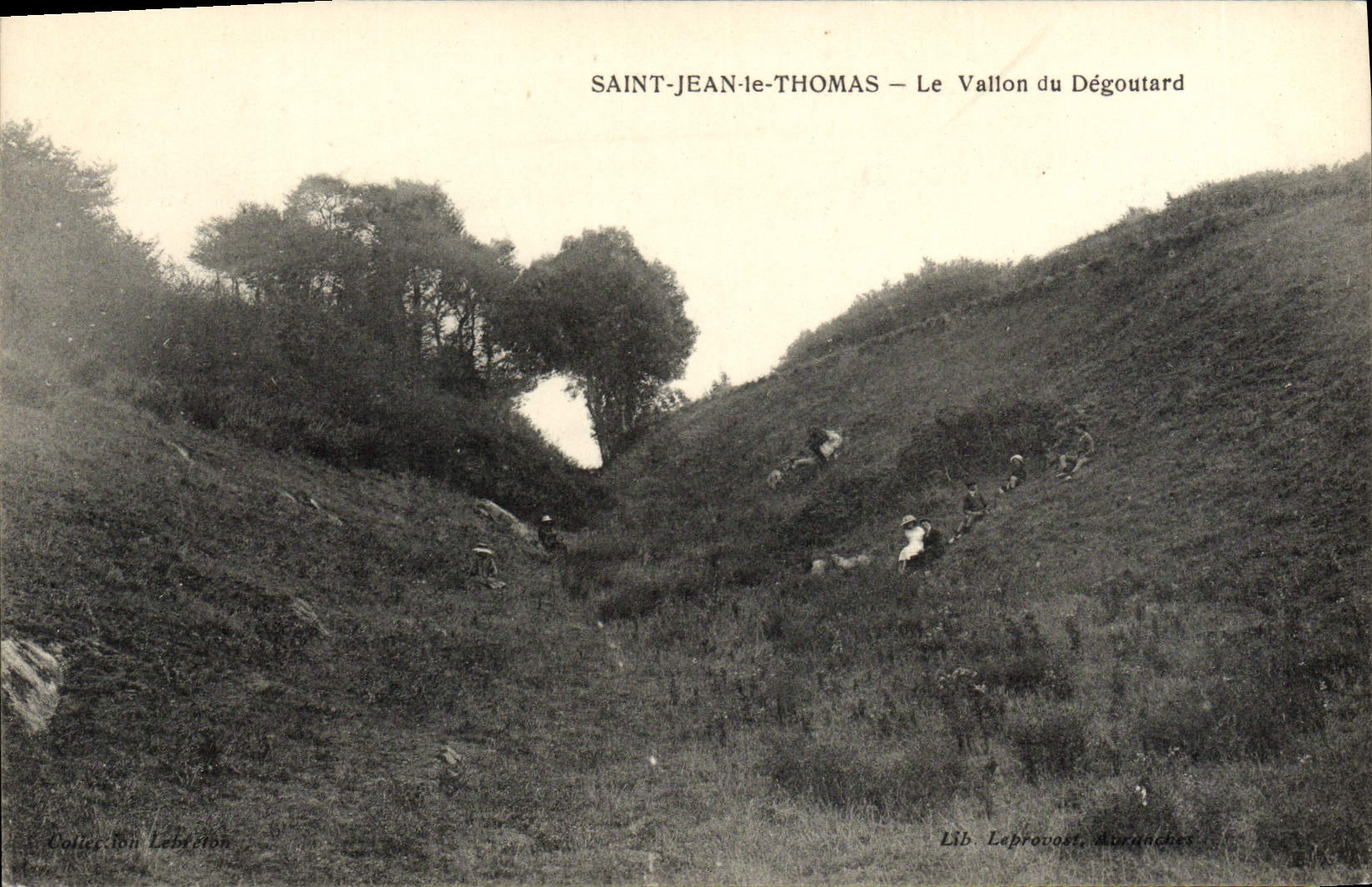 CPA Saint Jean Le Thomas Le Vallon Du Degoutard