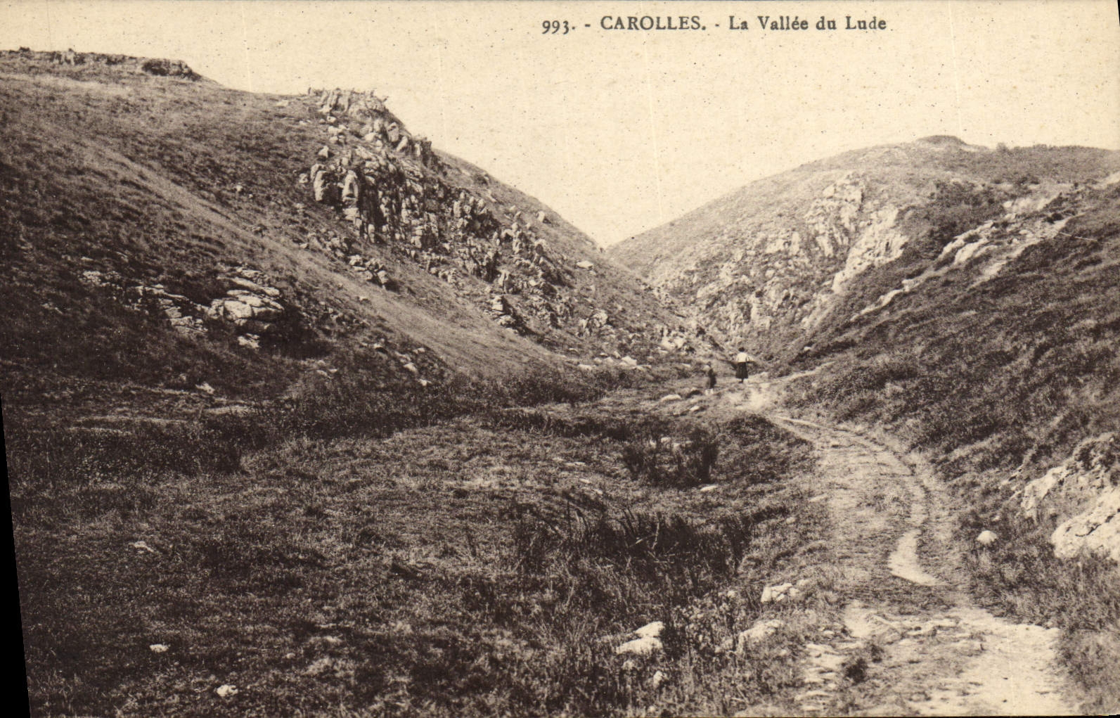 VINTAGE POSTCARD Carolles the Valley of Lude