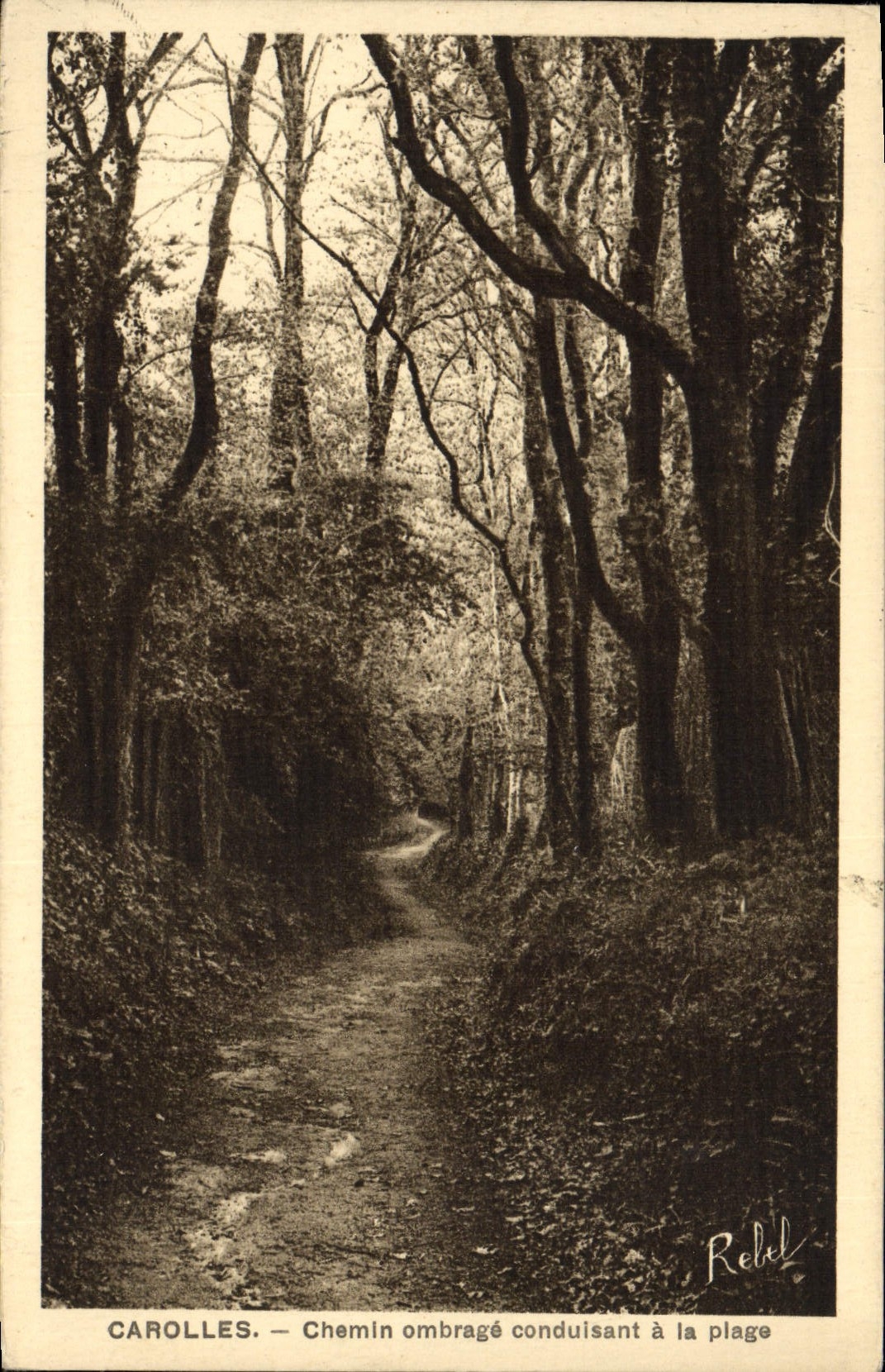 VINTAGE POSTCARD Carolles Way shade Leading to the Beach