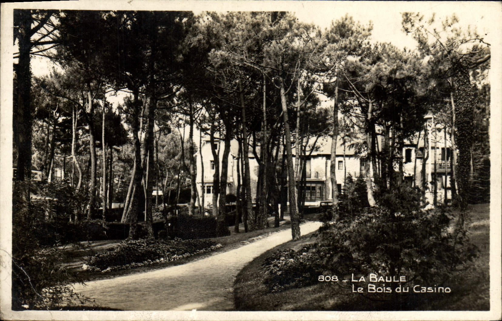 VINTAGE POSTCARD La Baule the Wood Of the Casino
