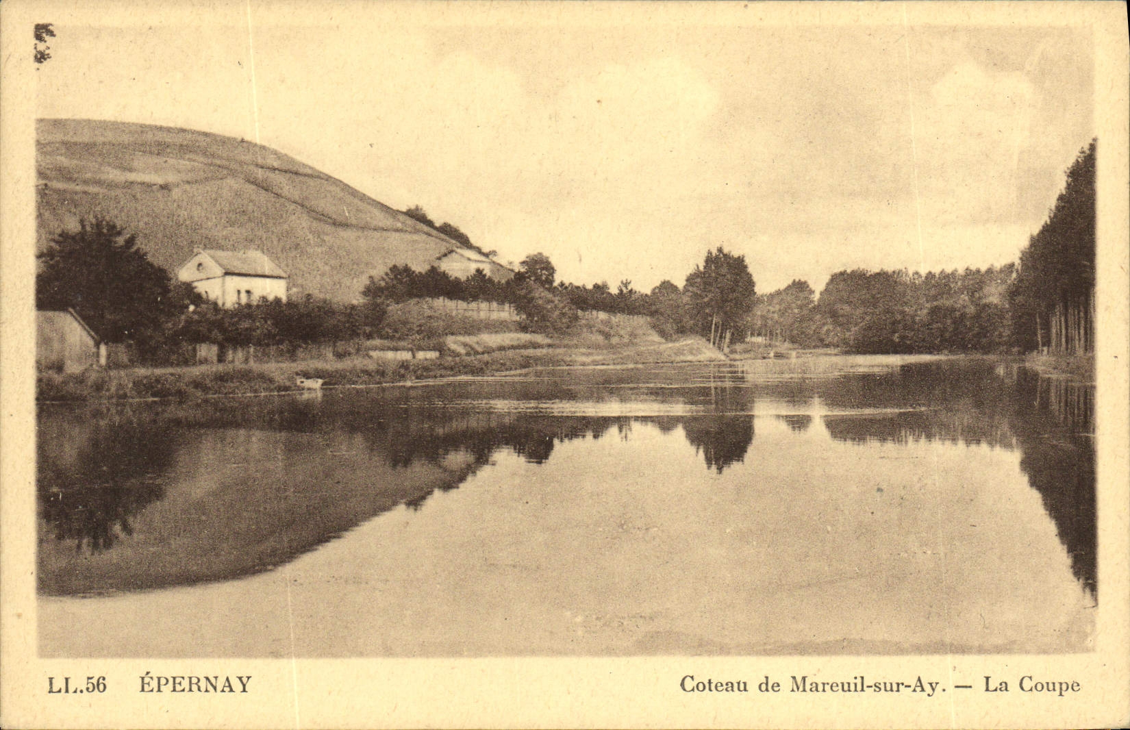 VINTAGE POSTCARD Epernay Slope De Mareuil On Ay Cut