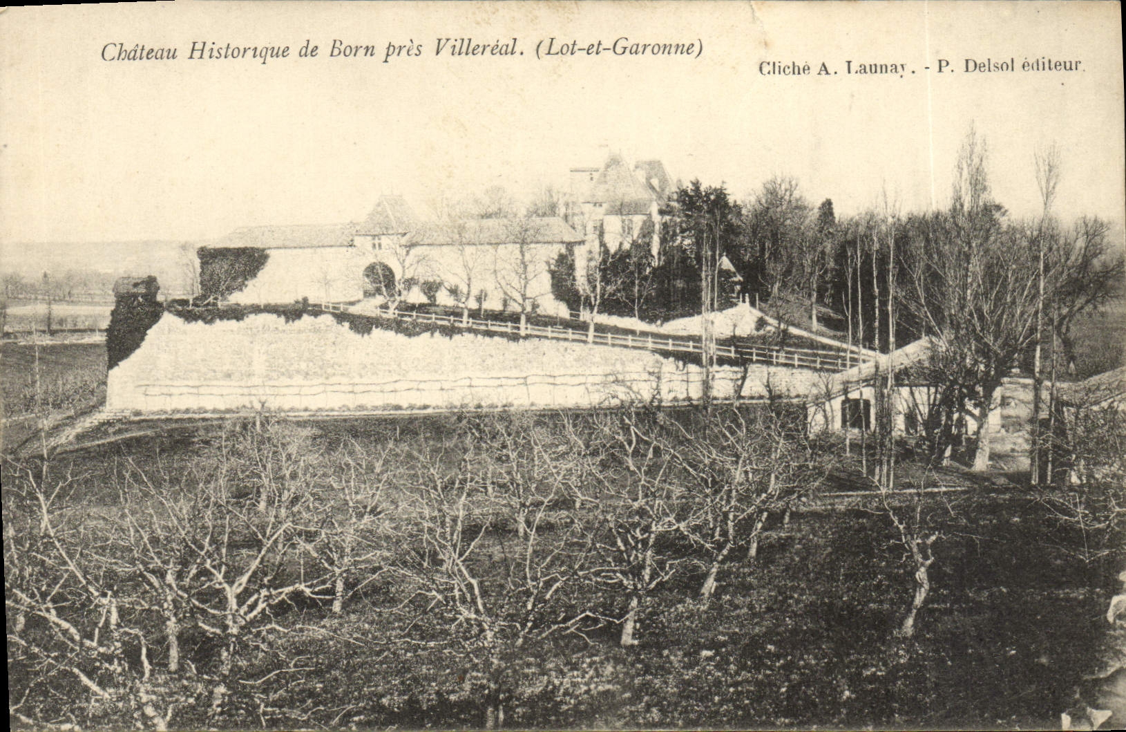 POSTAL Castle Historque De Born Close Villereal de la VENDIMIA