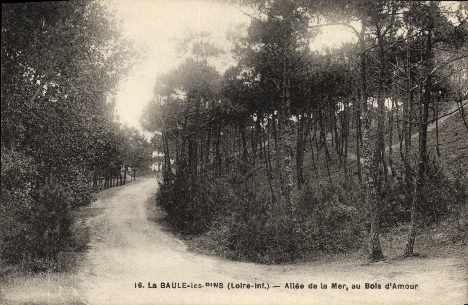 VINTAGE POSTCARD La Baule Pines Gone Of the Sea To the Wood Of love
