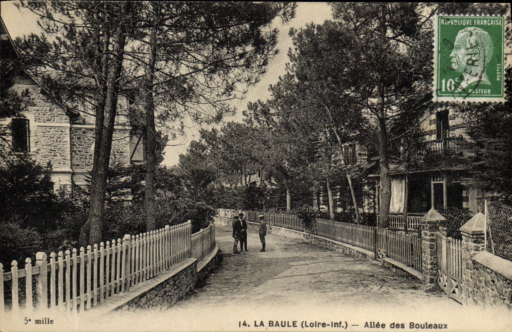 VINTAGE POSTCARD La Baule Gone Of the Birches