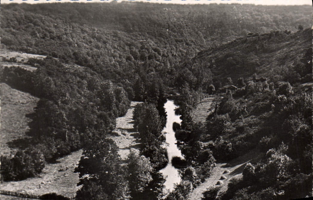 MODERN CARD Mervent the Valley Of Maple